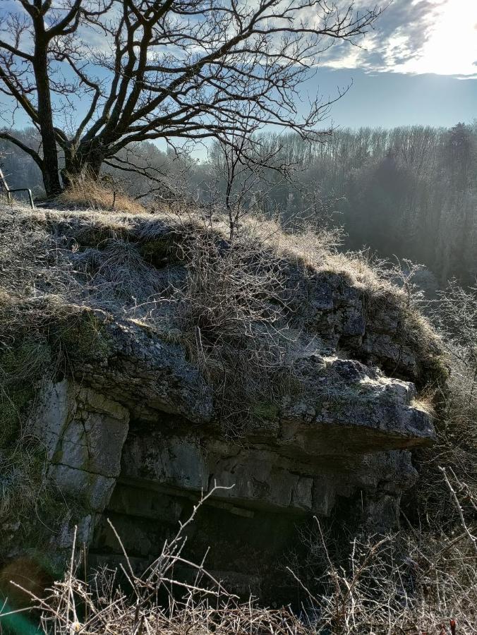 Cochlea Bed & Breakfast Marche-en-Famenne Bagian luar foto