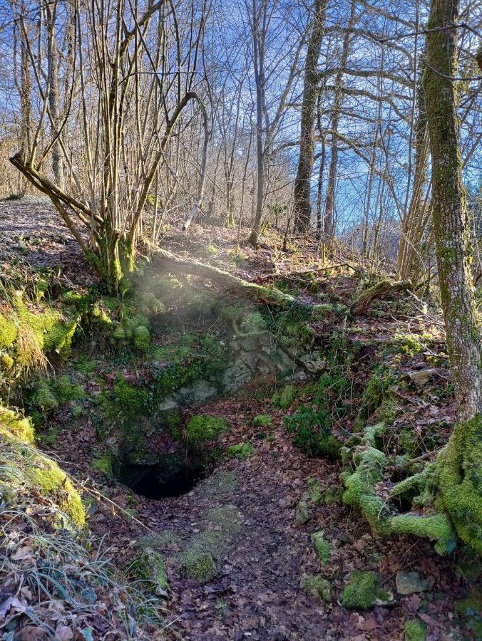Cochlea Bed & Breakfast Marche-en-Famenne Bagian luar foto